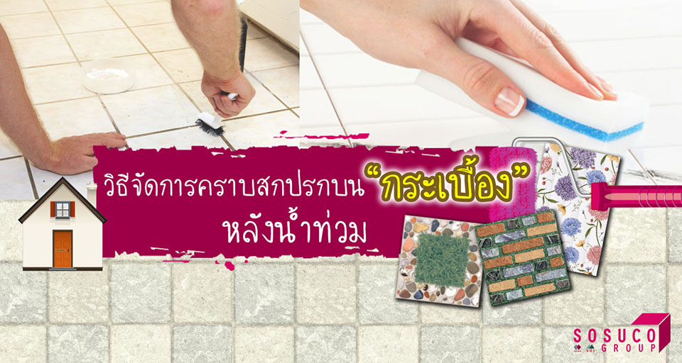 โสสุโก้ แนะวิธีรักษากระเบื้องให้กลับมาใหม่อีกครั้ง